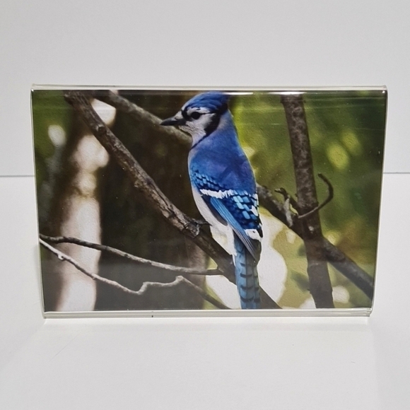 4 Piece Framed Set Mix of Art Prints - Picture 4 of 7